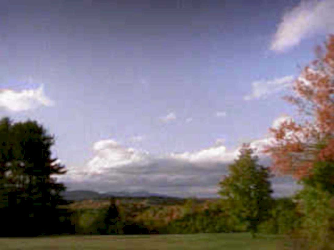 autumn hills maples1980s 1990s A4 Photo Print