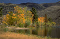 autumn lake landscape 1980s 1990s A4 Photo Print