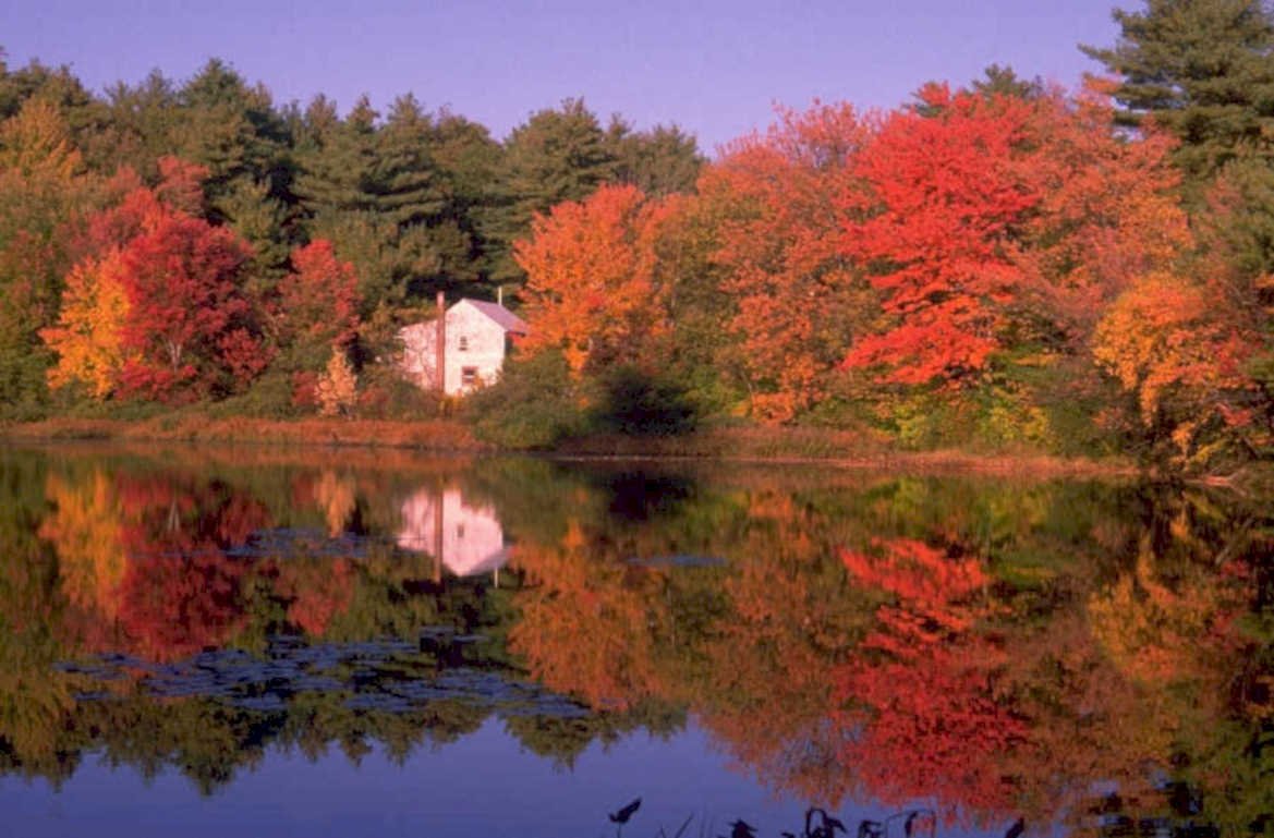 autumn lake maple 1 1980s 1990s A4 Photo Print