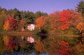 autumn lake maple 2 1980s 1990s A4 Photo Print