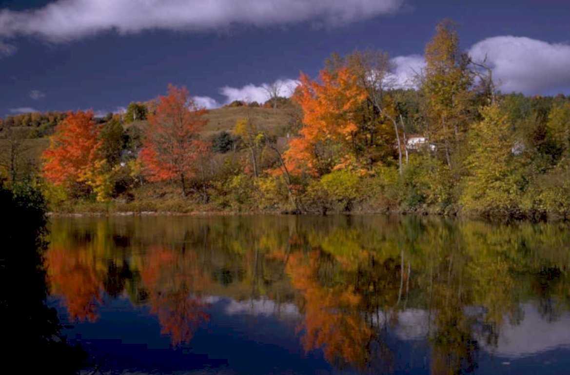 autumn lake maple 3 1980s 1990s A4 Photo Print