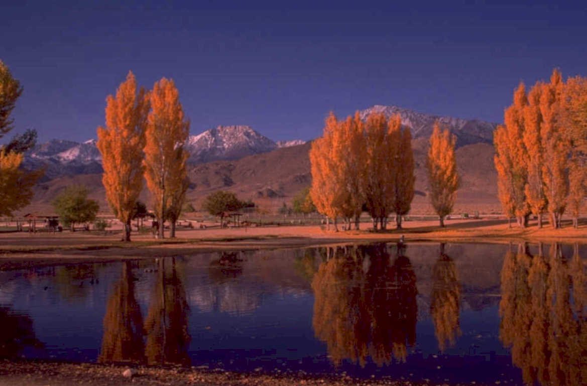 autumn lake mountains 1980s 1990s A4 Photo Print 42