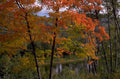 autumn lake mountains 1980s 1990s A4 Photo Print 43