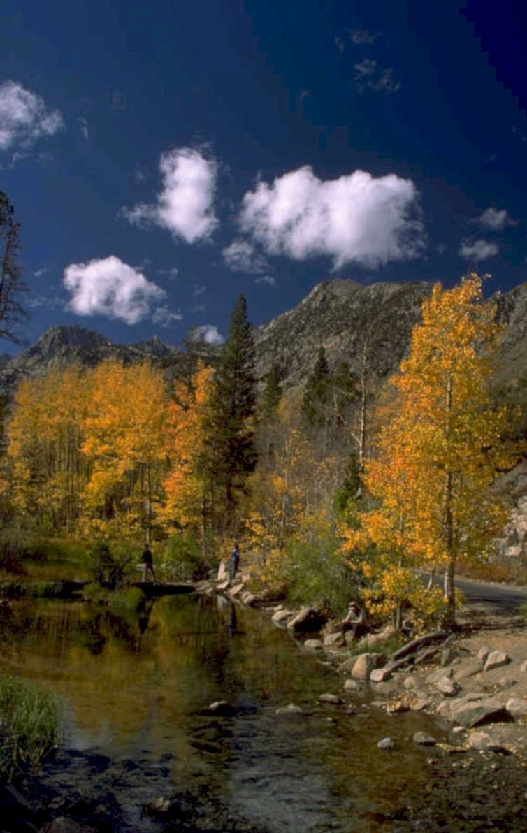 autumn lake reflection 2 1980s 1990s A4 Photo Print