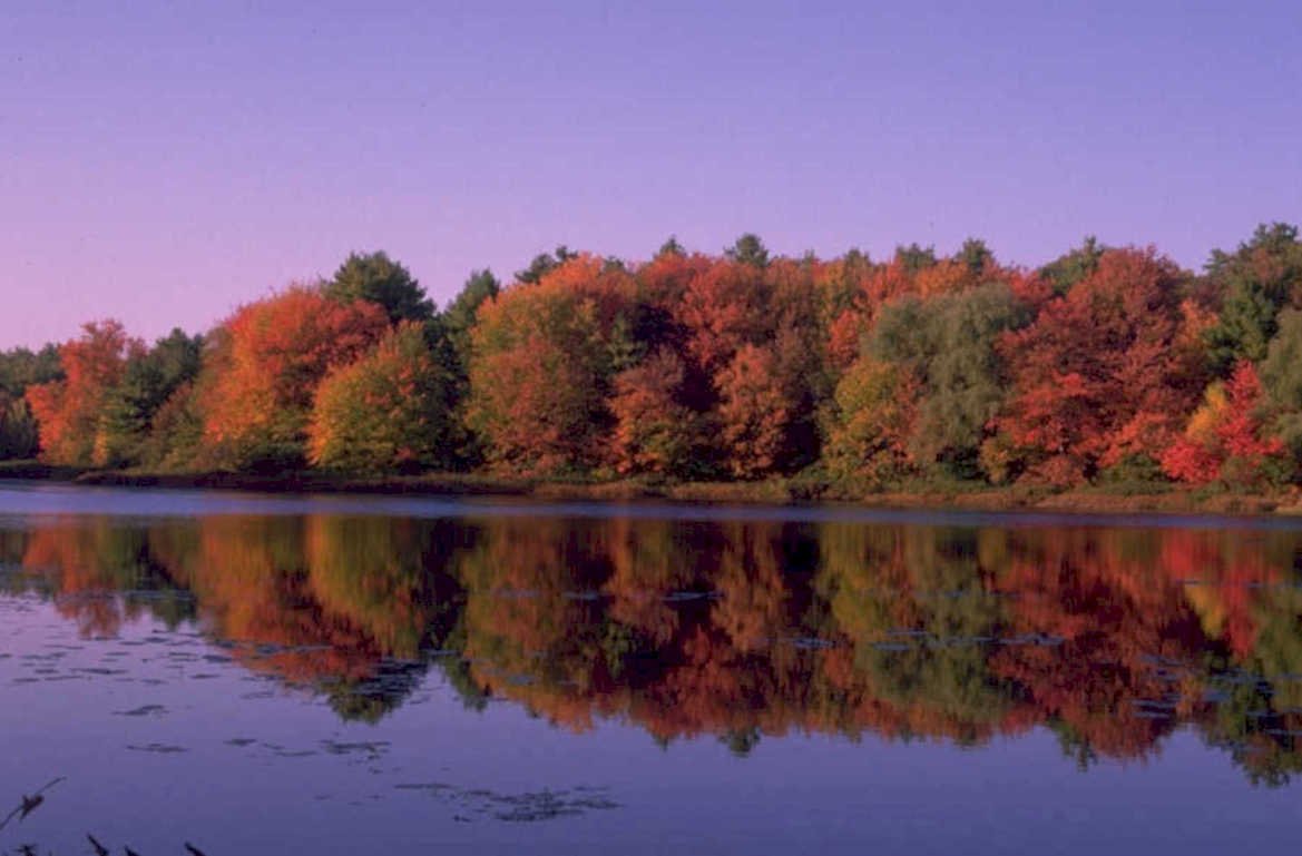 autumn lake reflection 3 1980s 1990s A4 Photo Print