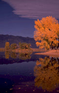 autumn lake reflection 5 1980s 1990s A4 Photo Print