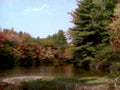 autumn lake scene1980s 1990s A4 Photo Print