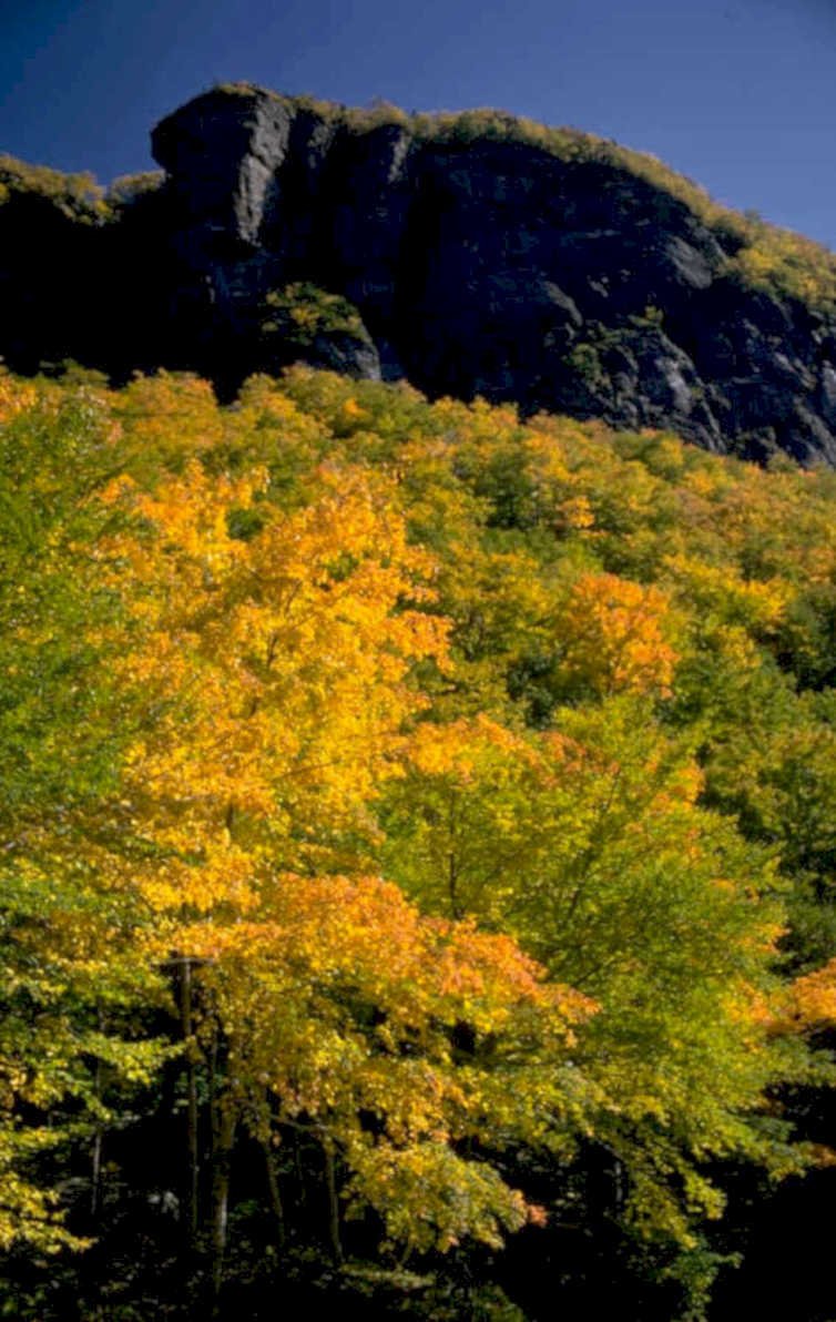 autumn landscape fall 1980s 1990s A4 Photo Print 42