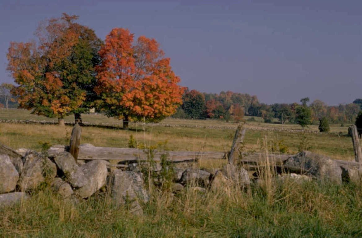 autumn landscape maple 1 1980s 1990s A4 Photo Print