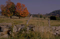 autumn landscape maple 3 1980s 1990s A4 Photo Print