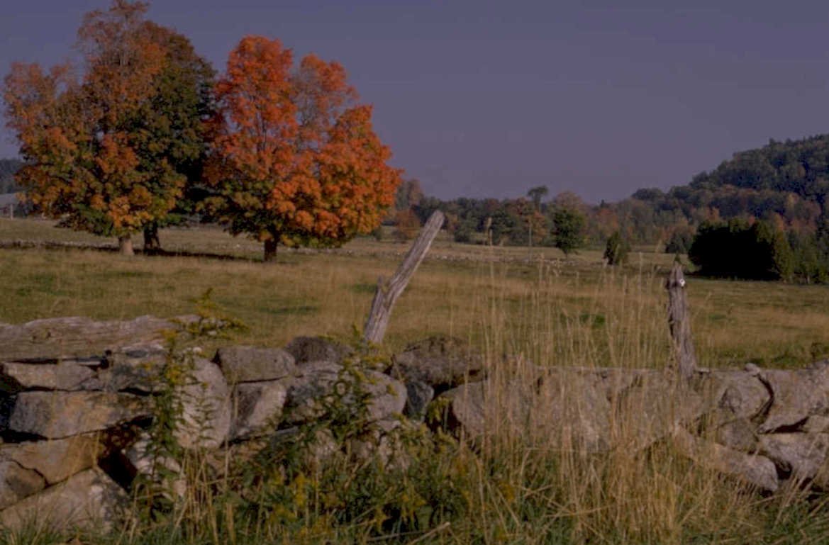 autumn landscape maple 3 1980s 1990s A4 Photo Print