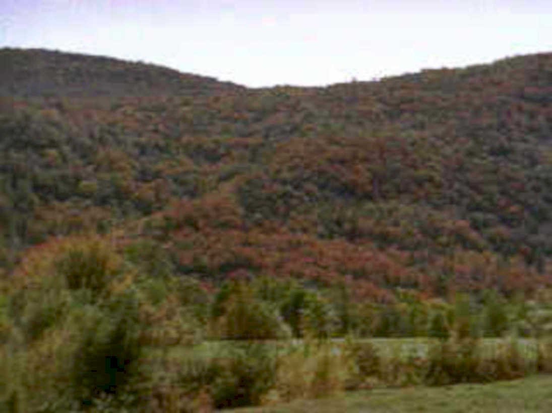 autumn landscape mountains1980s 1990s A4 Photo Print