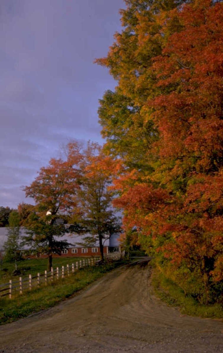 autumn landscape redbarn 1980s 1990s A4 Photo Print