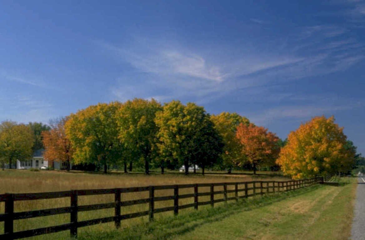 autumn landscape road 1980s 1990s A4 Photo Print