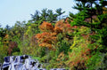 autumn landscape superior1980s 1990s A4 Photo Print