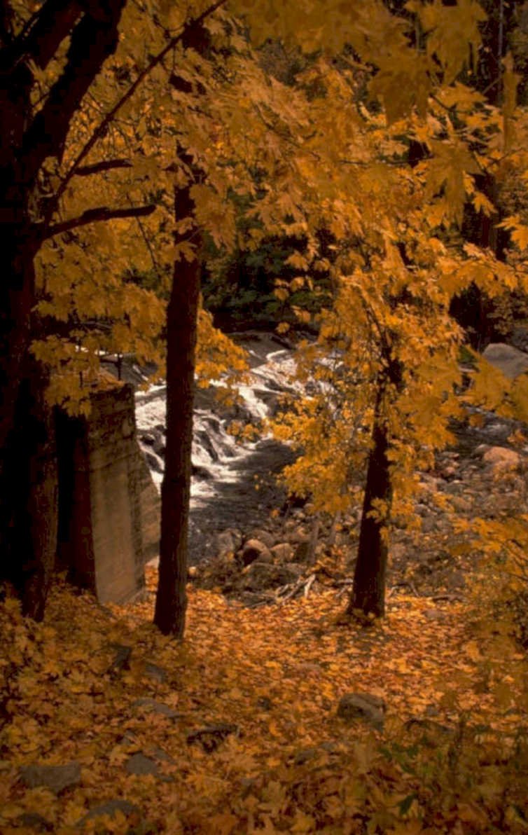 autumn landscape waterfall 1980s 1990s A4 Photo Print