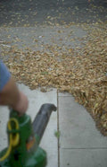 autumn leaves blow 1980s 1990s A4 Photo Print