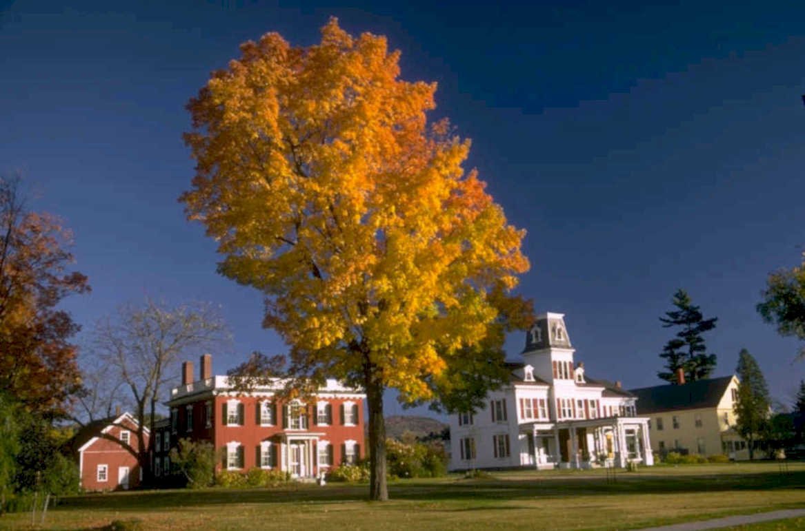 autumn maple house 1980s 1990s A4 Photo Print 42