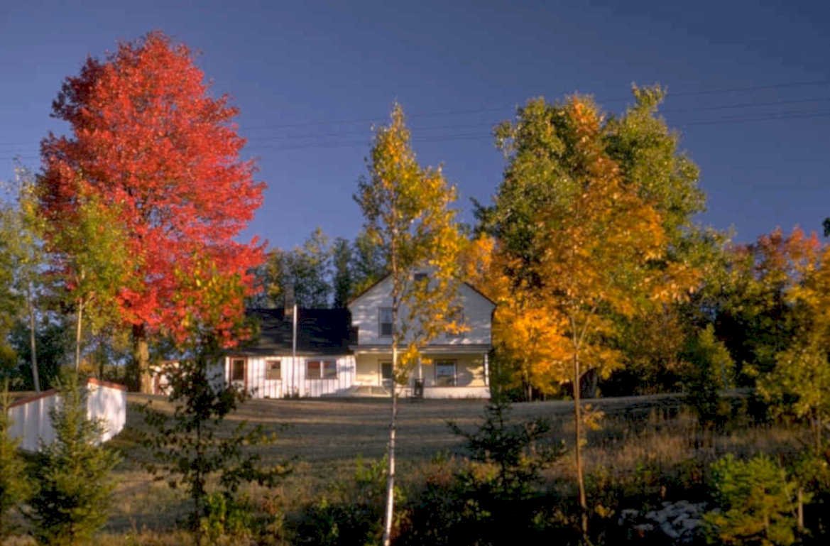 autumn maple house 1980s 1990s A4 Photo Print