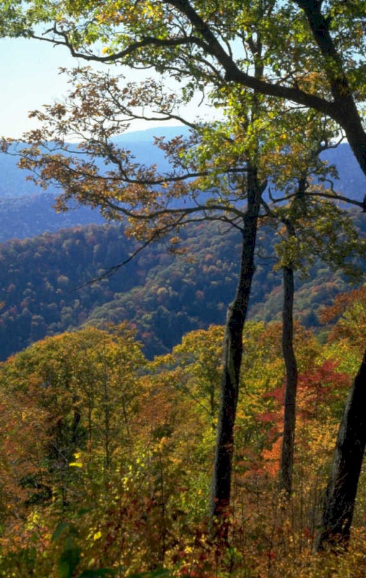 autumn mountains fall 1 1980s 1990s A4 Photo Print