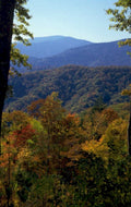 autumn mountains fall 2 1980s 1990s A4 Photo Print