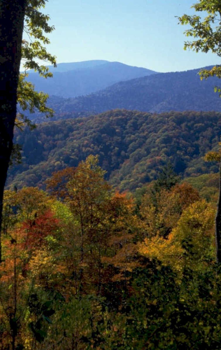 autumn mountains fall 2 1980s 1990s A4 Photo Print