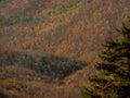 autumn mountains forest 21980s 1990s A4 Photo Print