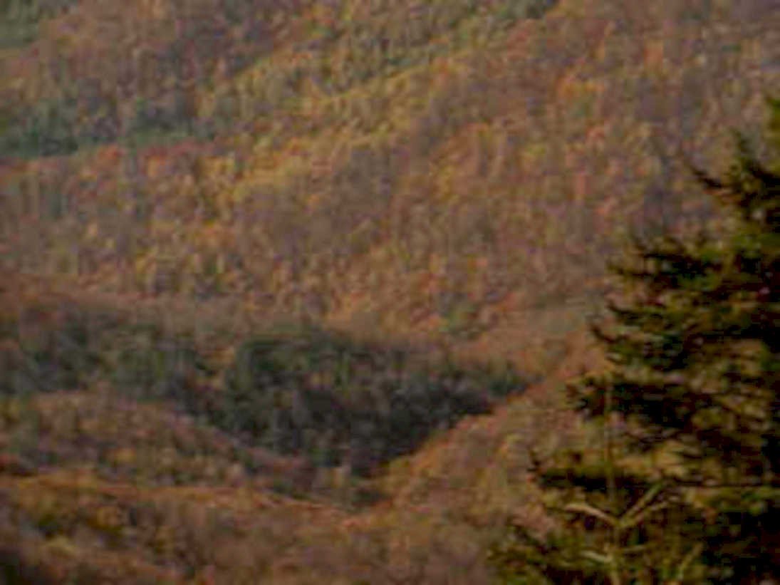 autumn mountains forest 21980s 1990s A4 Photo Print