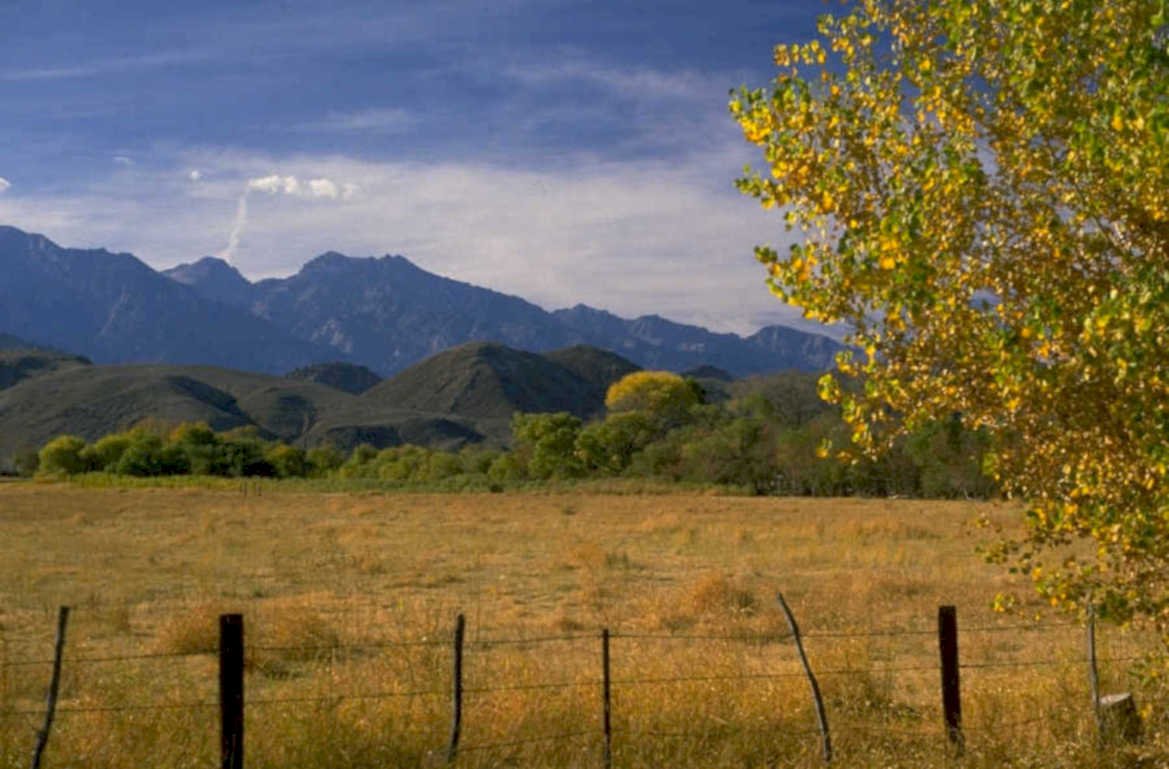 autumn mountains grasses 1980s 1990s A4 Photo Print