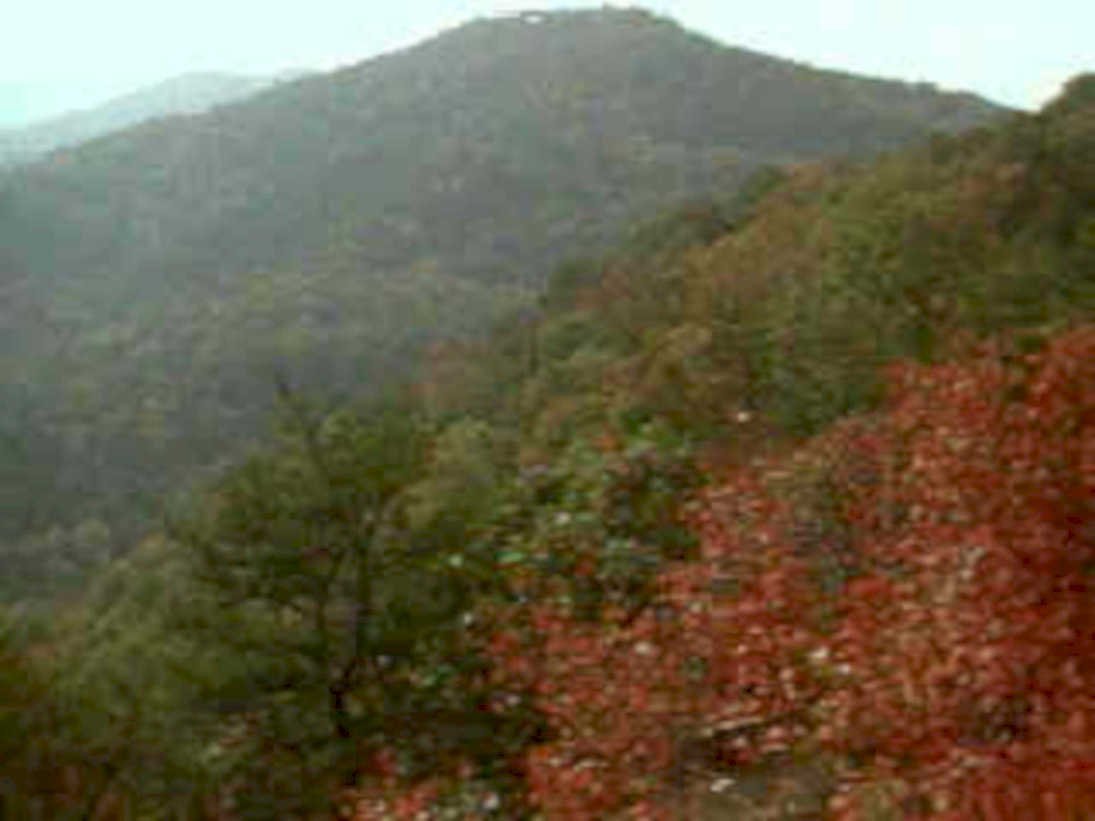 autumn mountains mist1980s 1990s A4 Photo Print