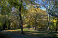 autumn park leaves 1980s 1990s A4 Photo Print
