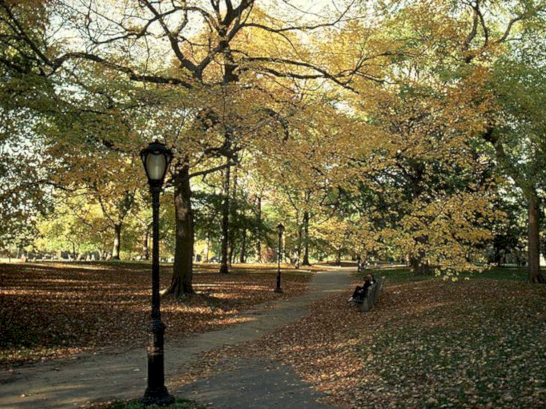 autumn park leaves1980s 1990s A4 Photo Print