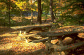 autumn picnic tables 1980s 1990s A4 Photo Print