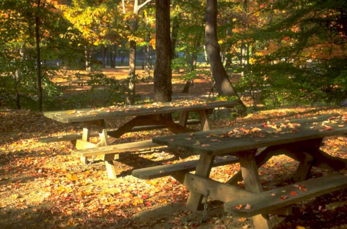 autumn picnic tables 1980s 1990s A4 Photo Print