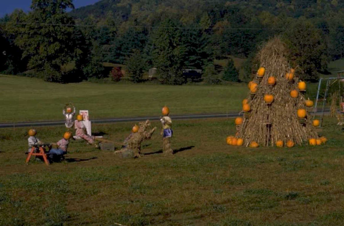 autumn pumpkin patch 1980s 1990s A4 Photo Print