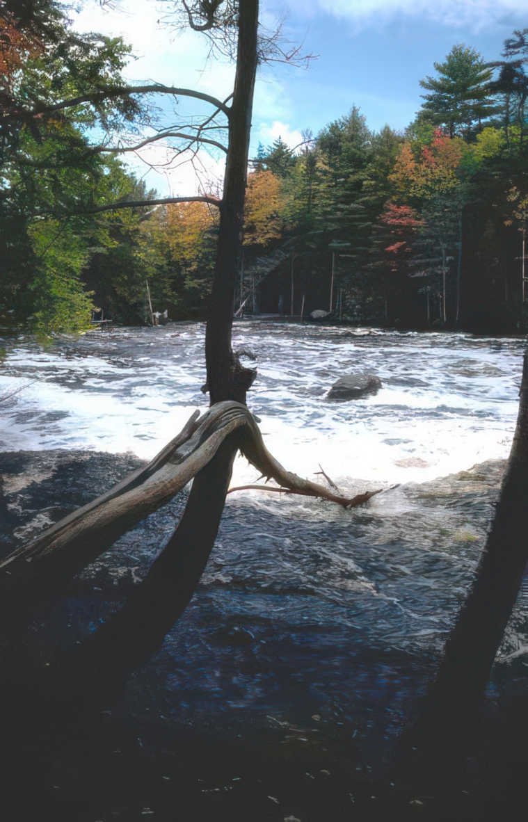 autumn river fall Vintage A4 Photo Print