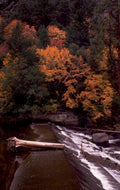 autumn river log 1980s 1990s A4 Photo Print
