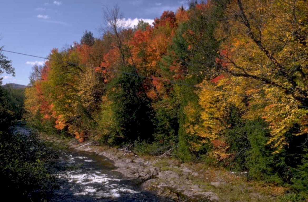 autumn river maple 1980s 1990s A4 Photo Print