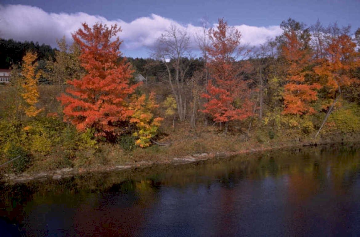autumn river reflection 1 1980s 1990s A4 Photo Print