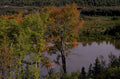 autumn river reflection 2 1980s 1990s A4 Photo Print