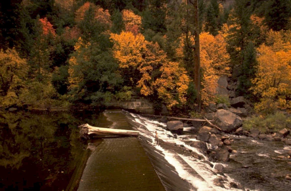 autumn river scape 1980s 1990s A4 Photo Print 42
