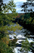 autumn river scape Vintage A4 Photo Print