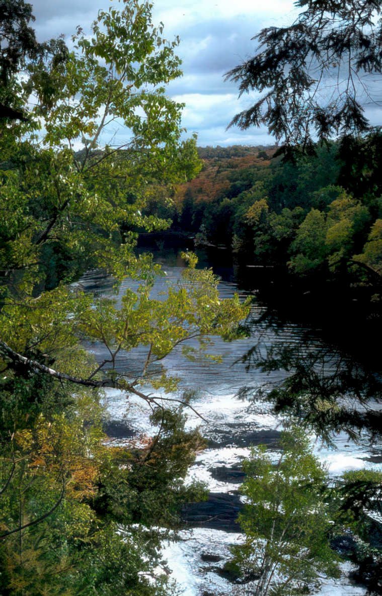 autumn river scape Vintage A4 Photo Print