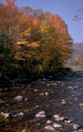 autumn river scene 1980s 1990s A4 Photo Print