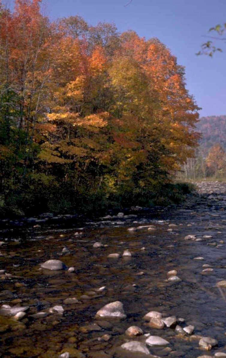 autumn river scene 1980s 1990s A4 Photo Print
