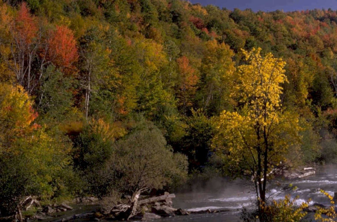 autumn river valley 1980s 1990s A4 Photo Print