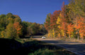 autumn road maple 1980s 1990s A4 Photo Print 42