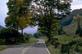 autumn road maple 1980s 1990s A4 Photo Print