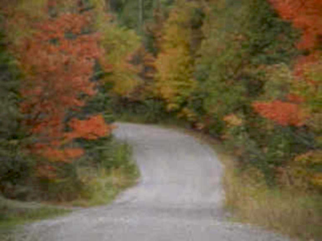 autumn road maples1980s 1990s A4 Photo Print