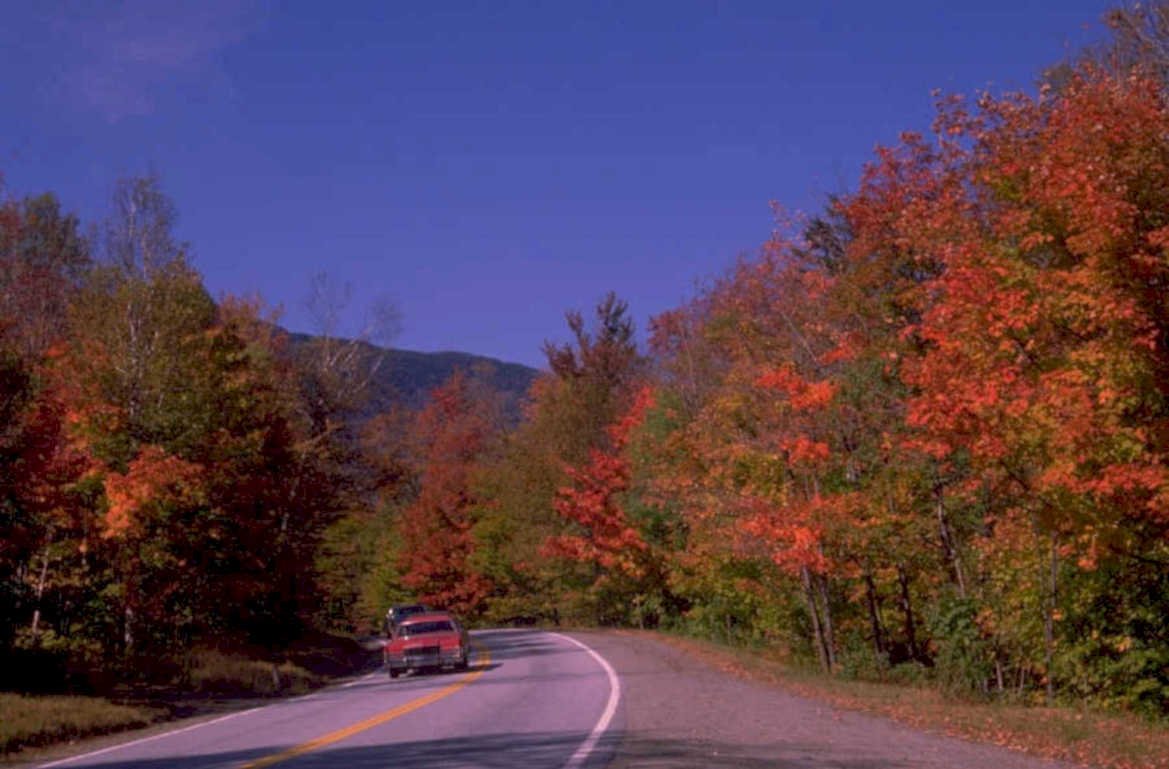 autumn road trip 1980s 1990s A4 Photo Print